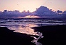 Beach Hiker at Sunset